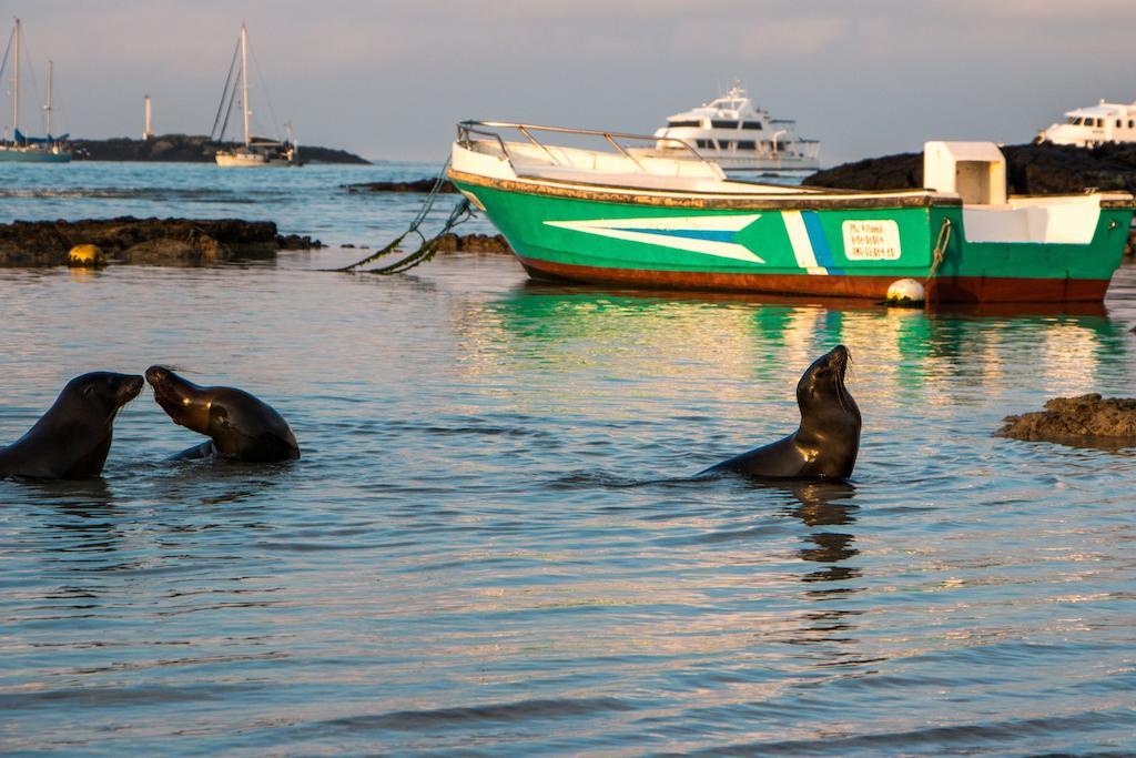 Chez Manany Galapagos Ecolodge Puerto Villamil Exteriör bild