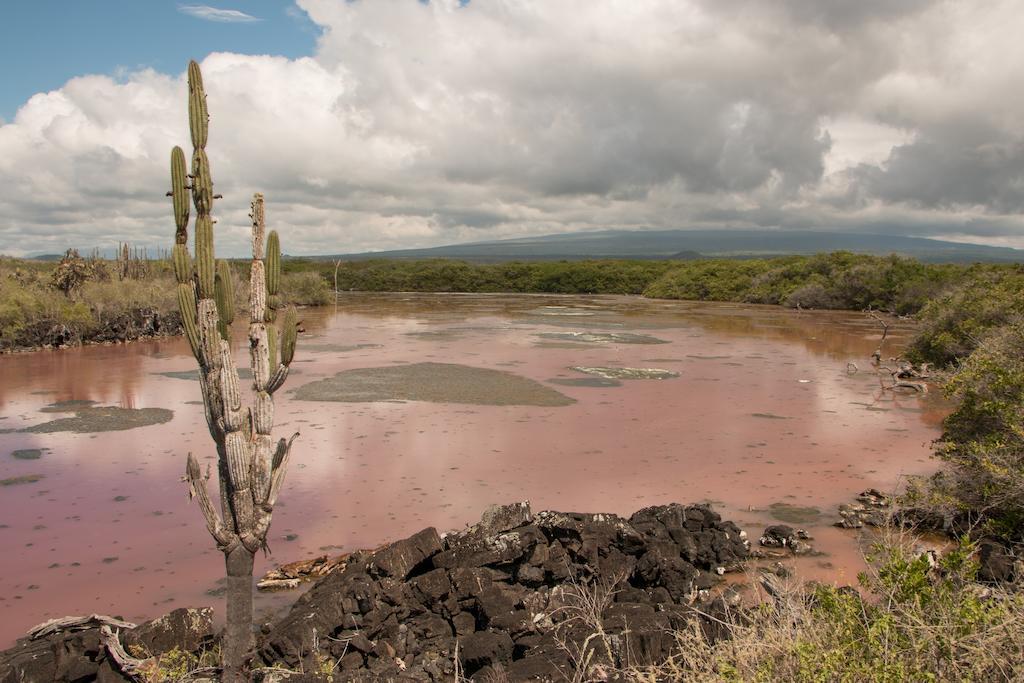 Chez Manany Galapagos Ecolodge Puerto Villamil Exteriör bild