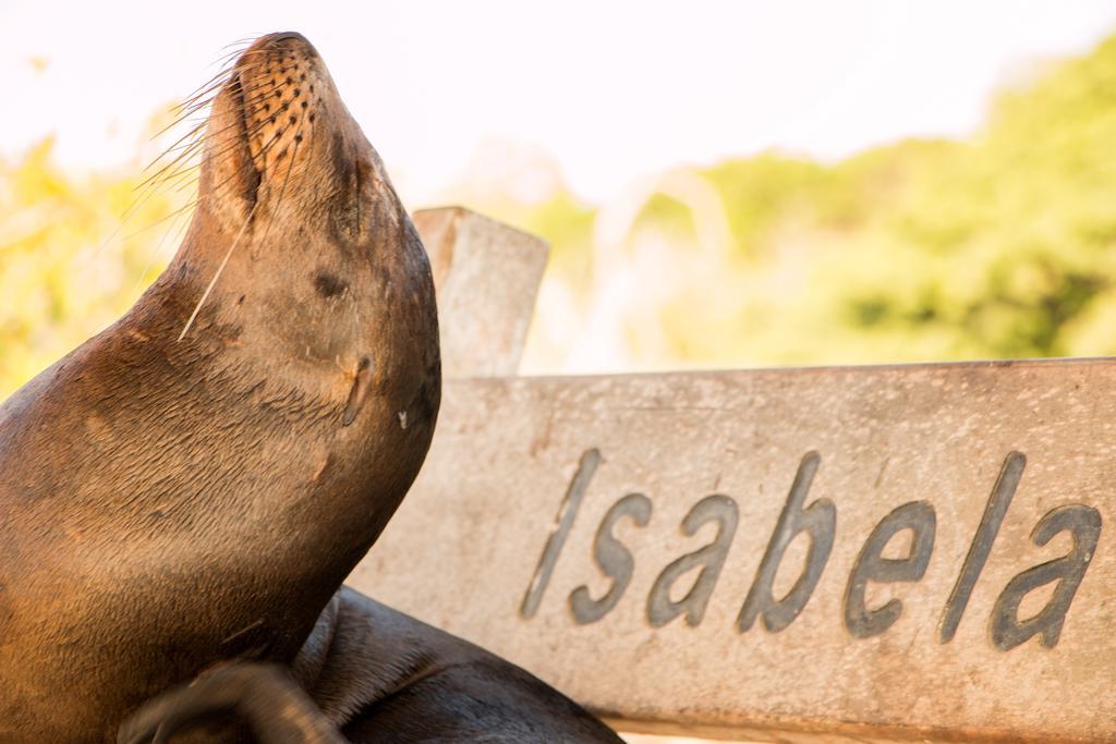 Chez Manany Galapagos Ecolodge Puerto Villamil Exteriör bild